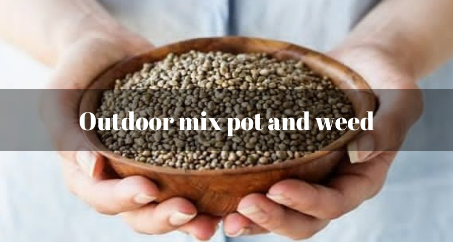 Outdoor mix pot and weed
