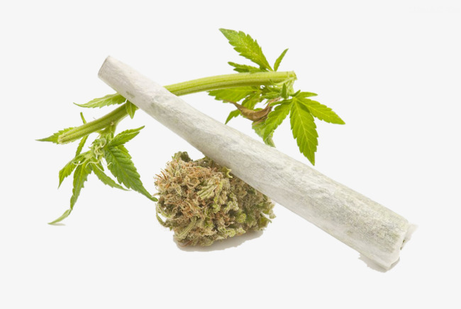 Marijuana Seeds Online with Guarantee