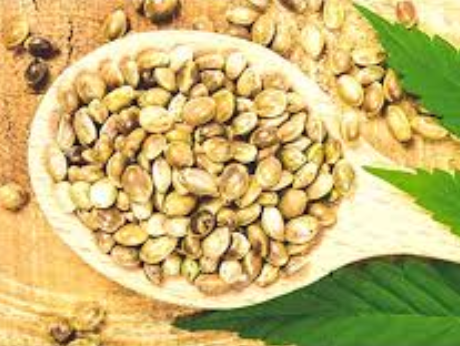 marijuana seeds for sale